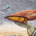 pterodaurus